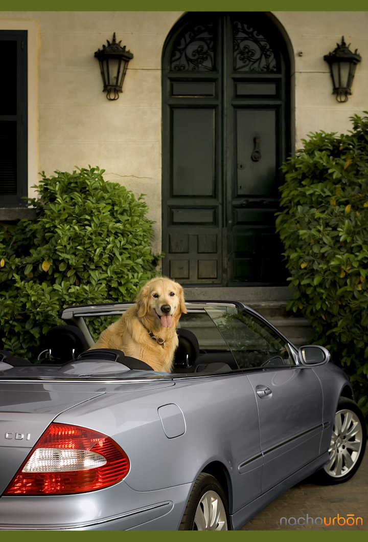 Mercedes-GQ-nachourbon-fotografo Mercedes-GQ-nachourbon-fotografo