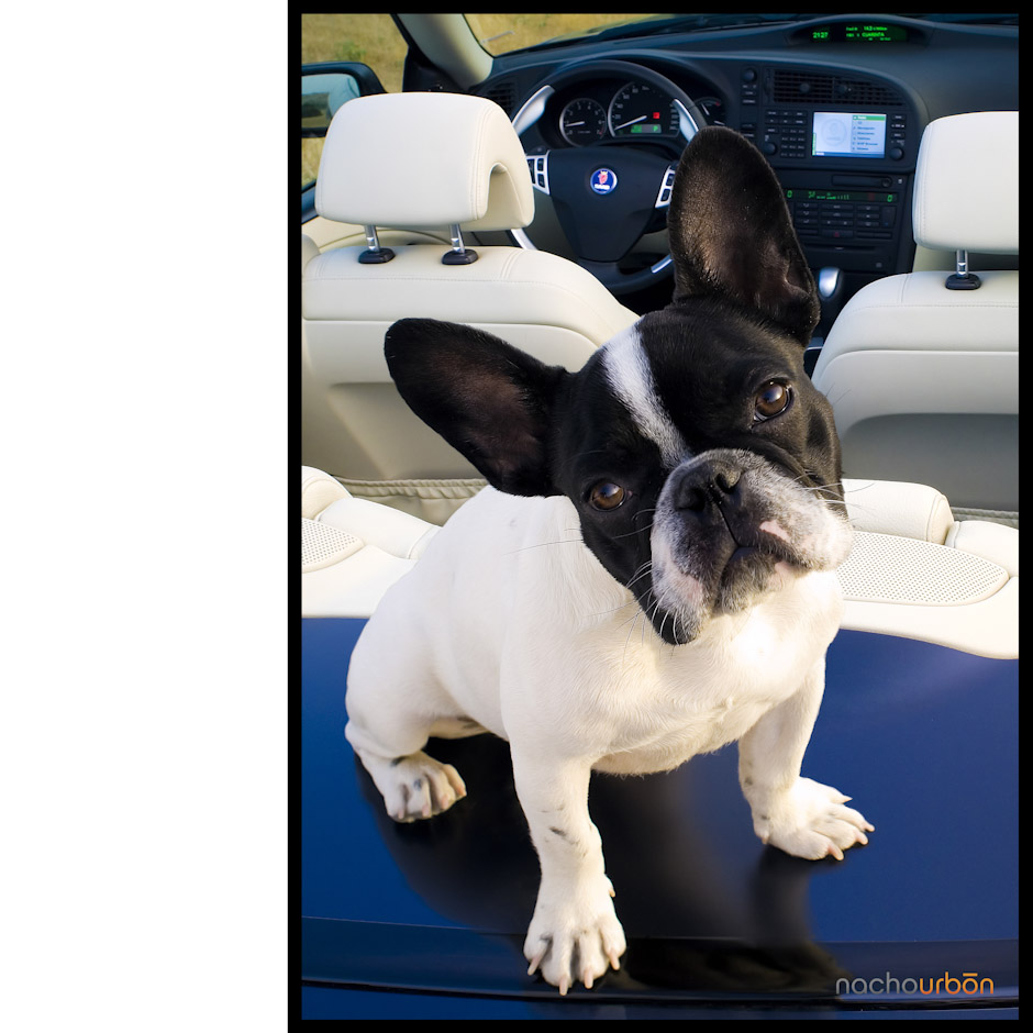 Saab-nachourbon-España-fotografo-profesional-belleza-industrial-corporativo-madrid-Spain-photographer-car-industry-nacho-urbon-retratos-portraits-publicidad-people-lifestyle
