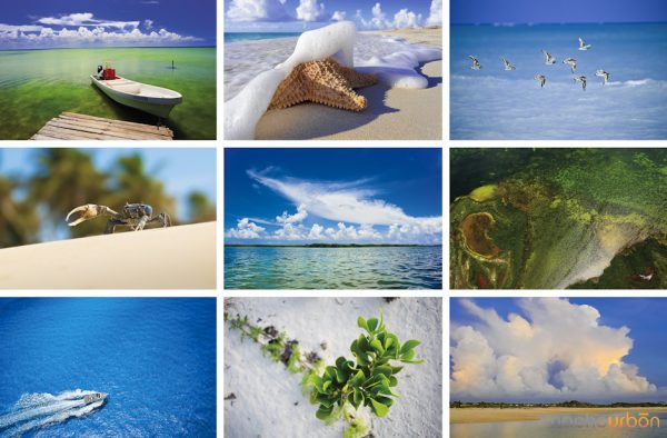 fotógrafo-con-sensibilidad-paisaje-memorias