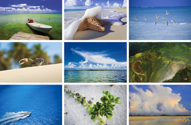 fotógrafo-con-sensibilidad-paisaje-memorias